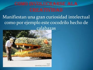 Como involucrarse ala creatividadManifiestan una gran curiosidad intelectual como por ejemplo este cocodrilo hecho de                                calabazas