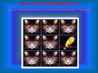 No piensan en lo que los demás les diganNo les importa lo que piensan sobre ellos