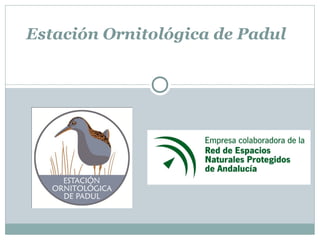 Estación Ornitológica de Padul
 