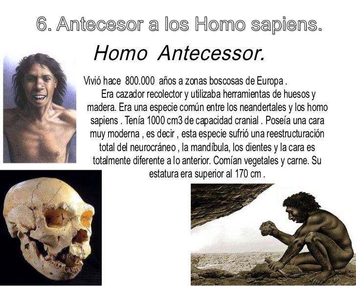 Presentación de la evolución de los homínidos