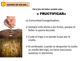 IGLESIA EN SALIDA... 
Fiel al don del Señor, también sabe… 
« FRUCTIFICAR» 
La Comunidad Evangelizadora : 
Siempre está atenta a los frutos, porque el Señor la quiere fecunda. 
Cuida el trigo y no pierde la paz por la cizaña. 
El sembrador, cuando ve despuntar la cizaña en medio del trigo, no tiene reacciones quejosas ni alarmistas.  