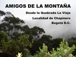 AMIGOS DE LA MONTAÑA
      Desde la Quebrada La Vieja
         Localidad de Chapinero
                    Bogotá D.C.
 