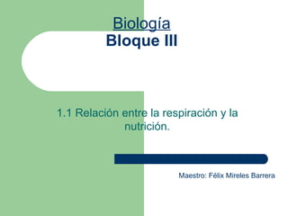 Biología Bloque III 1.1 Relación entre la respiración y la nutrición. Maestro: Félix Mireles Barrera 