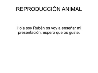 REPRODUCCIÓN ANIMAL


Hola soy Rubén os voy a enseñar mi
presentación, espero que os guste.
 