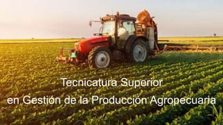 Tecnicatura Superior
en Gestión de la Producción Agropecuaria
 
