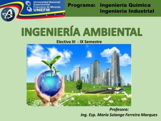 Profesora:
Ing. Esp. María Solange Ferreira Marques
Programa: Ingeniería Química
Ingeniería Industrial
Electiva III - IX Semestre
 