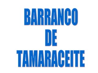 BARRANCO  DE  TAMARACEITE 
