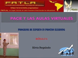 PROGRAMA DE EXPERTO EN PROCESO ELEARNING MÓDULO 6 Silvia Regalado 