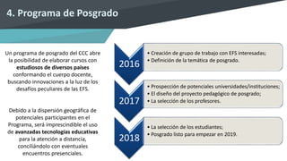 4. Programa de Posgrado
Un programa de posgrado del CCC abre
la posibilidad de elaborar cursos con
estudiosos de diversos países
conformando el cuerpo docente,
buscando innovaciones a la luz de los
desafíos peculiares de las EFS.
Debido a la dispersión geográfica de
potenciales participantes en el
Programa, será imprescindible el uso
de avanzadas tecnologías educativas
para la atención a distancia,
conciliándolo con eventuales
encuentros presenciales.
2016
• Creación de grupo de trabajo con EFS interesadas;
• Definición de la temática de posgrado.
2017
• Prospección de potenciales universidades/instituciones;
• El diseño del proyecto pedagógico de posgrado;
• La selección de los profesores.
2018
• La selección de los estudiantes;
• Posgrado listo para empezar en 2019.
 