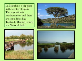 La Mancha is a big plain
in the centre of Spain.
The vegetation is
mediterranean and there
are some lakes like
Tablas de Daimiel, which
is a National Park.
 