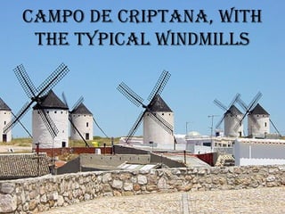 CAMpO de CRiptAnA, with
 the typiCAL windMiLLs
 