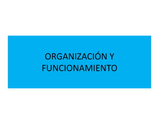 ORGANIZACIÓN Y
FUNCIONAMIENTO
 