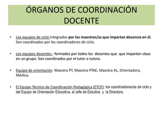 ÓRGANOS DE COORDINACIÓN
DOCENTE
• Los equipos de ciclo Integrados por los maestros/as que impartan docencia en él.
Son coordinados por los coordinadores de ciclo.
• Los equipos docentes : formados por todos los docentes que que imparten clase
en un grupo. Son coordinados por el tutor o tutora.
• Equipo de orientación: Maestra PT, Maestra PTAE, Maestra AL, Orientadora,
Médica.
• El Equipo Técnico de Coordinación Pedagógica (ETCP): los coordinadores/as de ciclo y
del Equipo de Orientación Educativa, el Jefe de Estudios y la Directora.
 