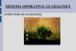 SISTEMA OPERATIVO. GUADALINEX
ESTRUCTURA DE GUADALINEX.
               
                     
       
                
 