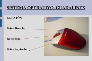 SISTEMA OPERATIVO. GUADALINEX
EL RATÓN
Botón Derecho
Ruedecilla
Botón izquierdo
 