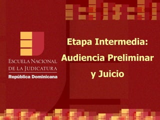 Etapa Intermedia:
Audiencia Preliminar
      y Juicio
 
