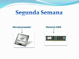 Microprocesador Memoria RAM
 