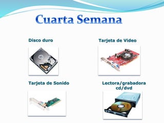 Disco duro Tarjeta de Video
Tarjeta de Sonido Lectora/grabadora
cd/dvd
 