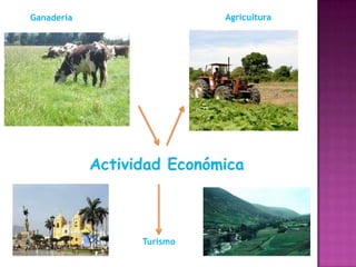 Agricultura

Ganadería

Actividad Económica

Turismo

 