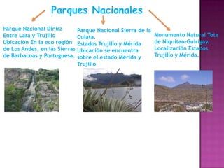 Parques Nacionales
Parque Nacional Dinira
Entre Lara y Trujillo
Ubicación En la eco región
de Los Andes, en las Sierras
de Barbacoas y Portuguesa.

Parque Nacional Sierra de la
Monumento Natural Teta
Culata.
de Niquitao-Guirigay.
Estados Trujillo y Mérida
Localización Estados
Ubicación se encuentra
Trujillo y Mérida.
sobre el estado Mérida y
Trujillo

 