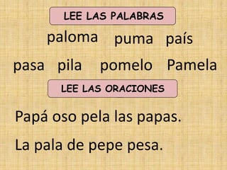 LEE LAS PALABRAS

    paloma puma país
pasa pila   pomelo Pamela
      LEE LAS ORACIONES


Papá oso pela las papas.
La pala de pepe pesa.
 