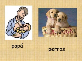 papá
       perros
 