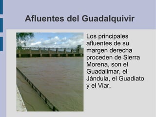 Presentación del guadalquivir PPT