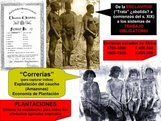 “ Correrías” (para capturar indios) Explotación del caucho (Amazonas) Economía de Plantación  De la  ESCLAVITUD (“Trata” ¿abolida? a  comienzos del s. XIX) a los sistemas de TRABAJO OBLIGATORIO Esclavos sacados de África 1700-1800:  7.430.000 1800-1900:  5.420.000 PLANTACIONES Sistema de explotación para todos los  productos agrícolas tropicales 