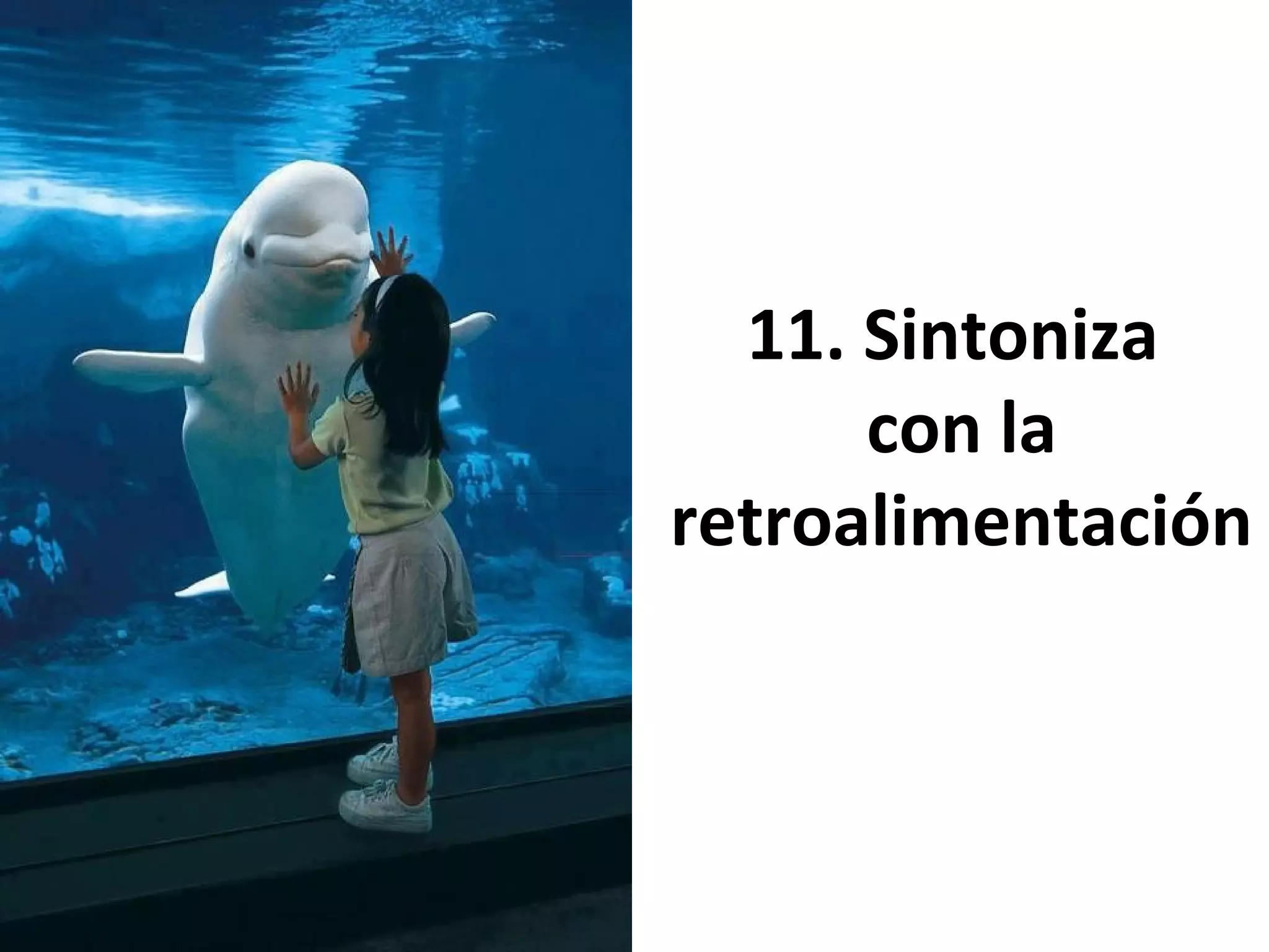 11. Sintoniza
con la
retroalimentación