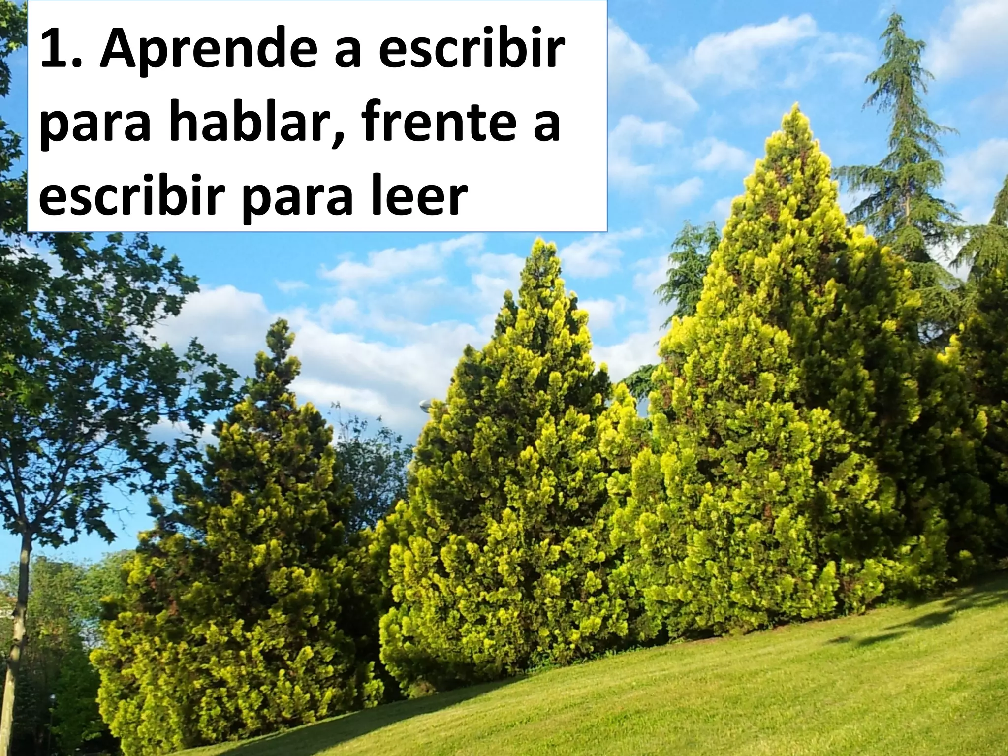 1. Aprende a escribir
para hablar, frente a
escribir para leer