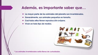 Además, es importante saber que…
 La mayor parte de los animales del planeta son invertebrados.
 Generalmente, son animales pequeños en tamaño.
 Casi todos ellos tienen reproducción ovípara.
 Viven en todo tipo de medios.
* Los animales invertebrados están llenos de curiosidades.
 
