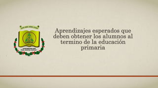 Organización de los
aprendizajes esperados con
base a la materia de Español
 