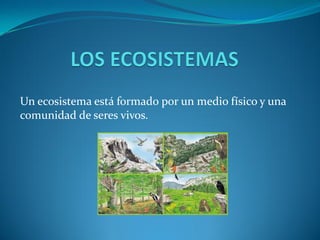 Un ecosistema está formado por un medio físico y una
comunidad de seres vivos.
 