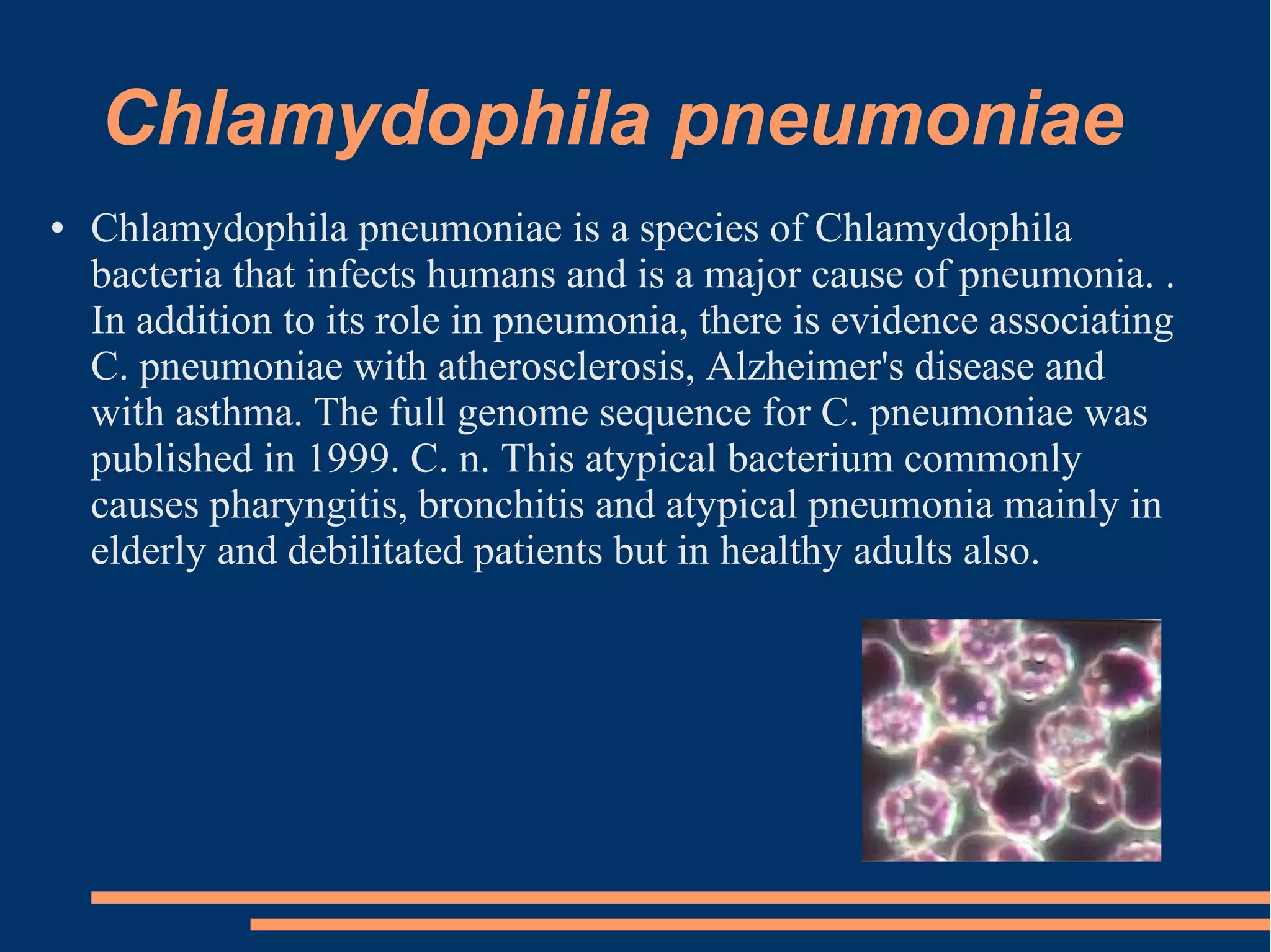 Chlamydophila pneumoniae
●

Chlamydophila pneumoniae is a species of Chlamydophila
bacteria that infects humans and is a major cause of pneumonia. .
In addition to its role in pneumonia, there is evidence associating
C. pneumoniae with atherosclerosis, Alzheimer's disease and
with asthma. The full genome sequence for C. pneumoniae was
published in 1999. C. n. This atypical bacterium commonly
causes pharyngitis, bronchitis and atypical pneumonia mainly in
elderly and debilitated patients but in healthy adults also.

 