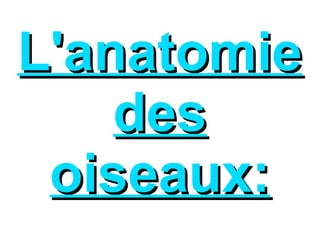 L'anatomie
des
oiseaux: