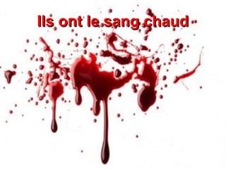 Ils ont le sang chaud