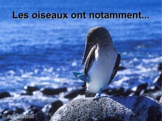 Les oiseaux ont notamment...