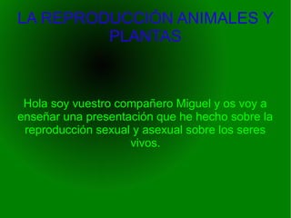 LA REPRODUCCIÓN ANIMALES Y
         PLANTAS



 Hola soy vuestro compañero Miguel y os voy a
enseñar una presentación que he hecho sobre la
 reproducción sexual y asexual sobre los seres
                    vivos.
 