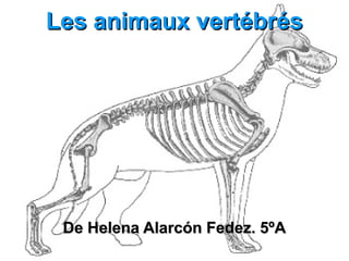 Les animaux vertébrés




 De Helena Alarcón Fedez. 5ºA
 