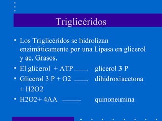 Triglicéridos
• Los Triglicéridos se hidrolizan
enzimáticamente por una Lipasa en glicerol
y ac. Grasos.
• El glicerol + ATP
glicerol 3 P
• Glicerol 3 P + O2
dihidroxiacetona
+ H2O2
• H2O2+ 4AA
quinoneimina

 