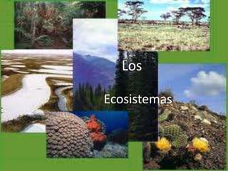 Los

Ecosistemas
 