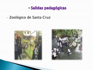 •   Zoológico de Santa Cruz
 