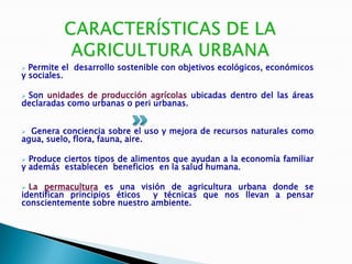  Permite el desarrollo sostenible con objetivos ecológicos, económicos
y sociales.

Son unidades de producción agrícolas ubicadas dentro del las áreas
declaradas como urbanas o peri urbanas.


 Genera conciencia sobre el uso y mejora de recursos naturales como
agua, suelo, flora, fauna, aire.

 Produce ciertos tipos de alimentos que ayudan a la economía familiar
y además establecen beneficios en la salud humana.

 La permacultura es una visión de agricultura urbana donde se
identifican principios éticos y técnicas que nos llevan a pensar
conscientemente sobre nuestro ambiente.
 