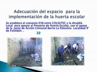 Se establece el convenio 038 entre COLSUTEC y la Alcaldía
Local para apoyar al Proyecto de Huerta Escolar, con el apoyo
de la .Junta de Acción Comunal Barrio La Palestina Localidad 9°
de Fontibón ..
 