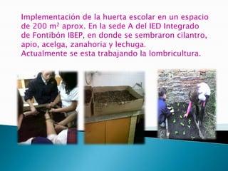 Implementación de la huerta escolar en un espacio
de 200 m2 aprox. En la sede A del IED Integrado
de Fontibón IBEP, en donde se sembraron cilantro,
apio, acelga, zanahoria y lechuga.
Actualmente se esta trabajando la lombricultura.
 