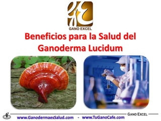 Beneficios para la Salud del
   Ganoderma Lucidum
 