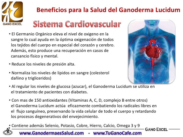 Beneficios del Ganoderma Lucidum en la Salud Beneficios del Ganoderma Lucidum en la Salud