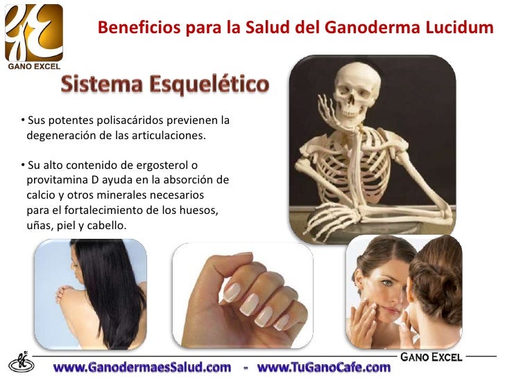 Beneficios del Ganoderma Lucidum en la Salud Beneficios del Ganoderma Lucidum en la Salud