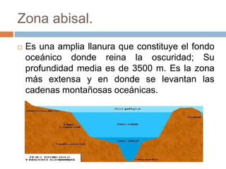 Zona abisal.
 Es una amplia llanura que constituye el fondo
oceánico donde reina la oscuridad; Su
profundidad media es de 3500 m. Es la zona
más extensa y en donde se levantan las
cadenas montañosas oceánicas.
 