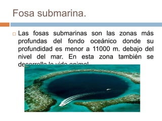 Fosa submarina.
 Las fosas submarinas son las zonas más
profundas del fondo oceánico donde su
profundidad es menor a 11000 m. debajo del
nivel del mar. En esta zona también se
desarrolla la vida animal.
 